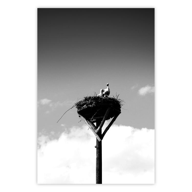 Poster Stork's Nest - photograph of birds in a nest against a sky and clouds backdrop
