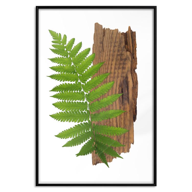 Poster Resoluteness of Nature - green plant and wooden piece on a white background