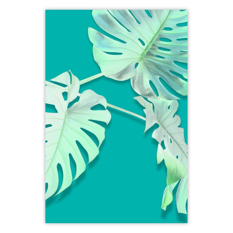 Poster Mint Monstera - green monstera leaves on a mint-colored background