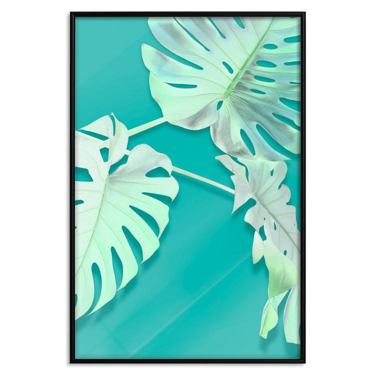 Poster Mint Monstera - green monstera leaves on a mint-colored background