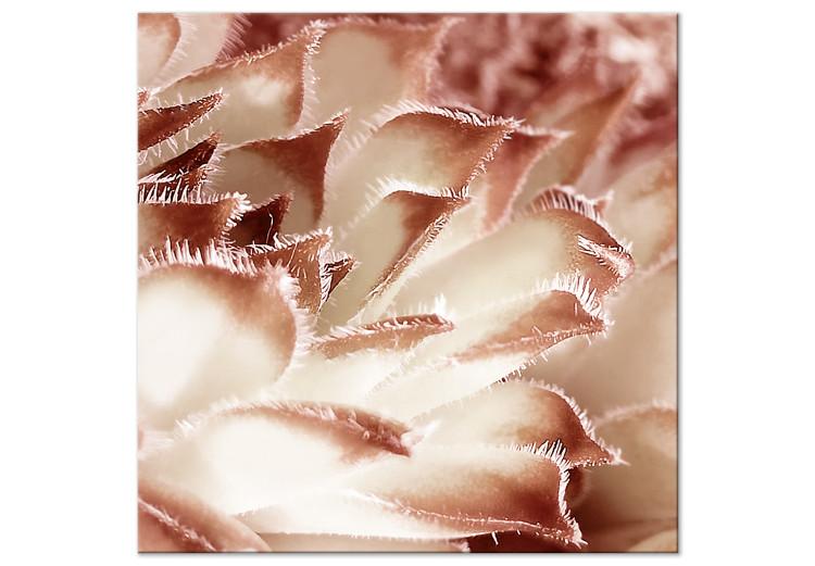 Canvas Flower tenderness - an artistic photo of a floral detail in pastels