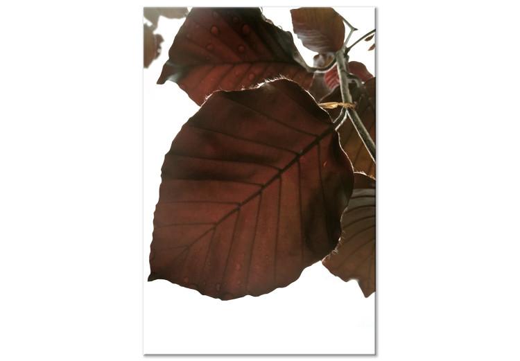 Canvas Autumn Elegance (1-part) - Tree Leaves in Brown Shades