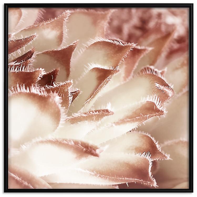 Poster Gentle Touch - floral motif of flowers with a light red texture
