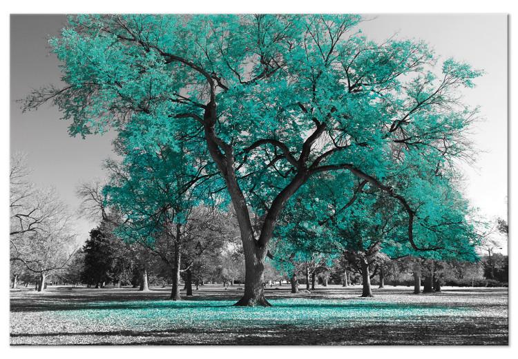 Canvas Autumn in the Park (1 Part) Wide Turquoise