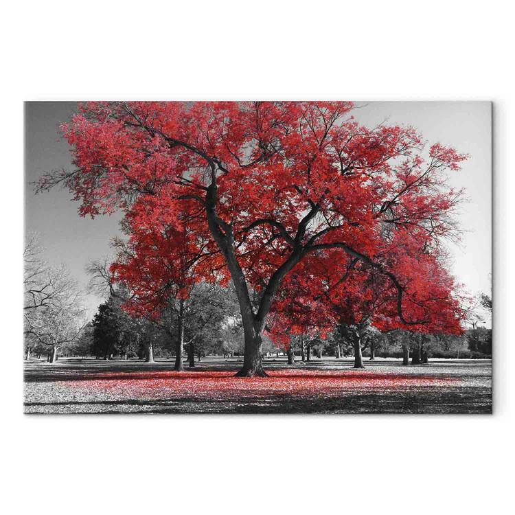 Canvas Autumn in the Park (1 Part) Wide Red