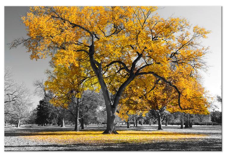 Canvas Autumn in the Park (1 Part) Wide Gold