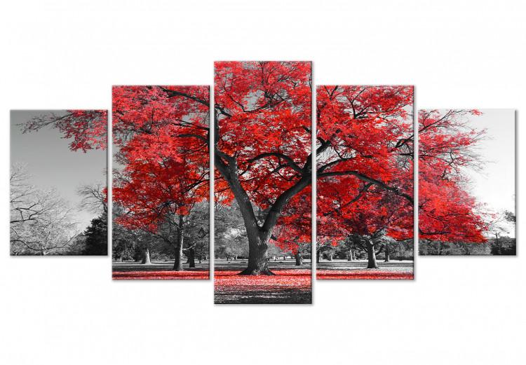 Canvas Autumn in the Park (5 Parts) Wide Red