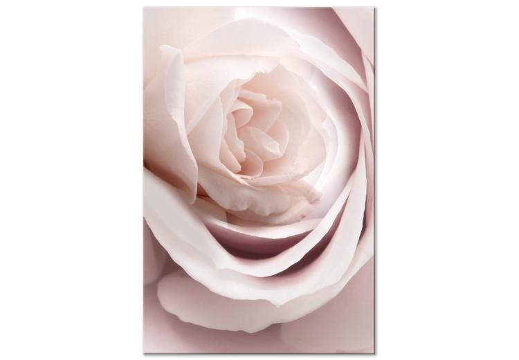 Canvas Pastel Charm (1-part) - Blooming Rose in Nature's Hue