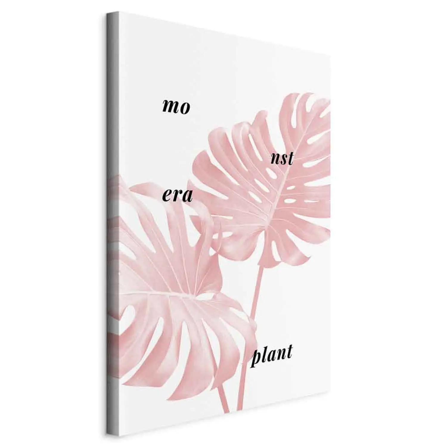 Art Work Pink monstera leaves with inscription - minimalistic botanical  motif - bimago