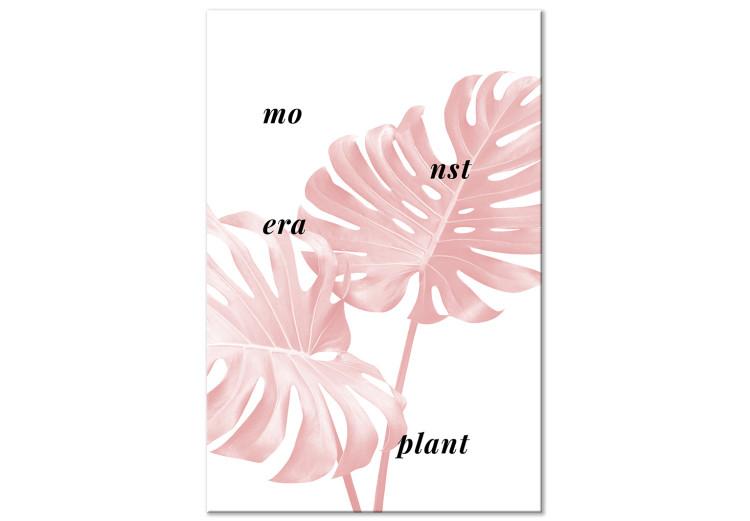Canvas Pink monstera leaves with inscription - minimalistic botanical motif