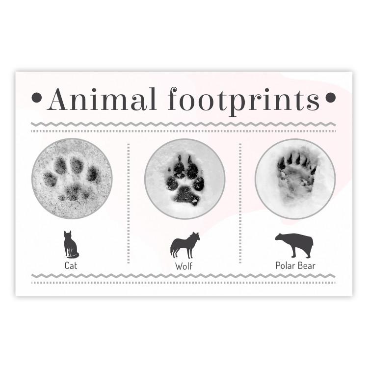 Poster Paw Prints - animal paw prints with black signatures and graphics