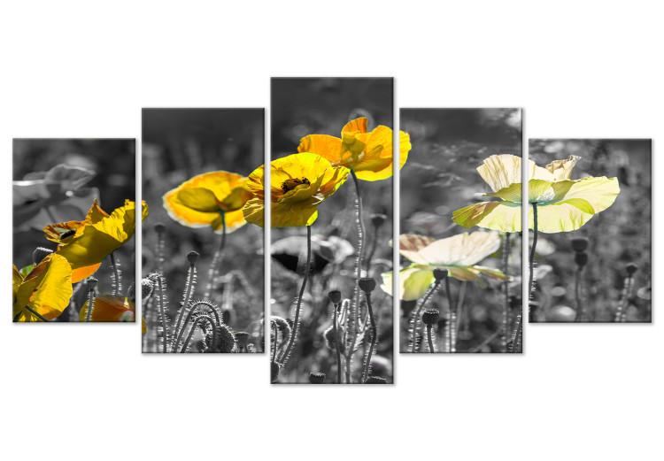 Canvas Yellow Poppies (5 Parts) Wide