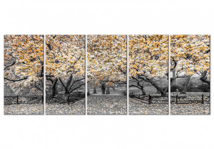 Canvas Blooming magnolia trees - black and white photo with yellow accents