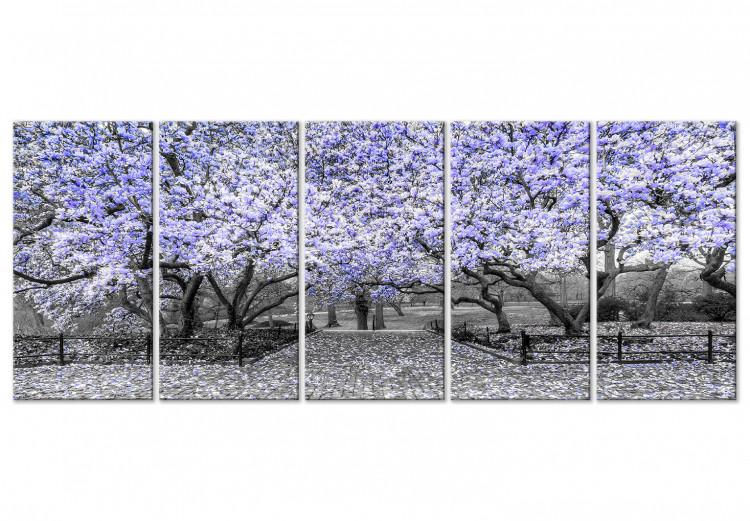Canvas Blooming magnolia trees - black and white photo with a purple accent