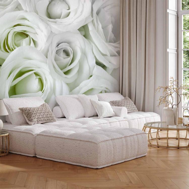 Wall Mural White roses - background filled with white flowers