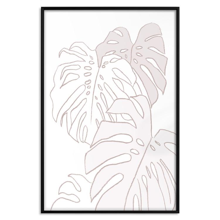 Poster Creamy Monstera - botanical sketches of several monstera leaves on a white background