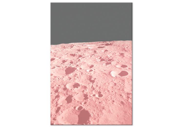 Canvas The surface of the moon - a photo from space in a pink colour