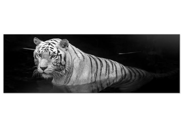 Canvas Shining Tiger (1 Part) Black and White Narrow