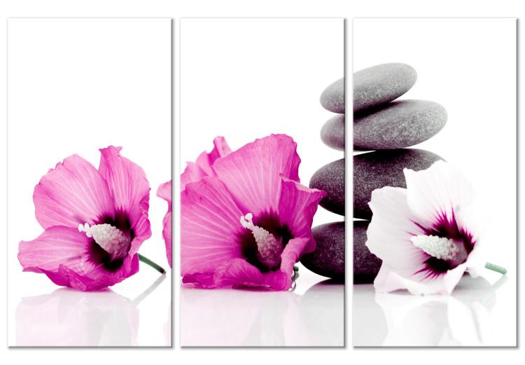 Canvas Pink feng shui flowers - oriental composition with mallow and stones
