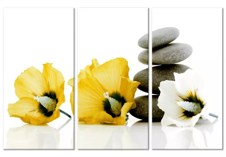 Canvas Feng shui flowers composition - a motif with yellow mallow and stones
