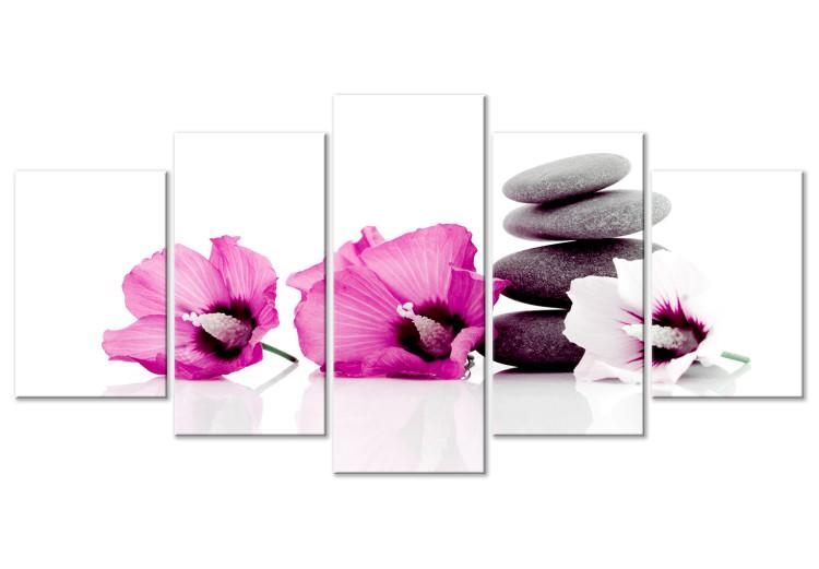 Canvas Calm Mallow (5 Parts) Wide Pink
