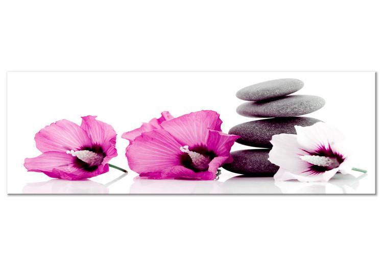 Canvas Pink flowers and stones - feng shui composition with mallow and stones
