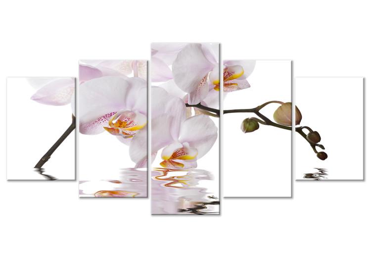 Canvas Delightful Orchid (5 Parts) Wide