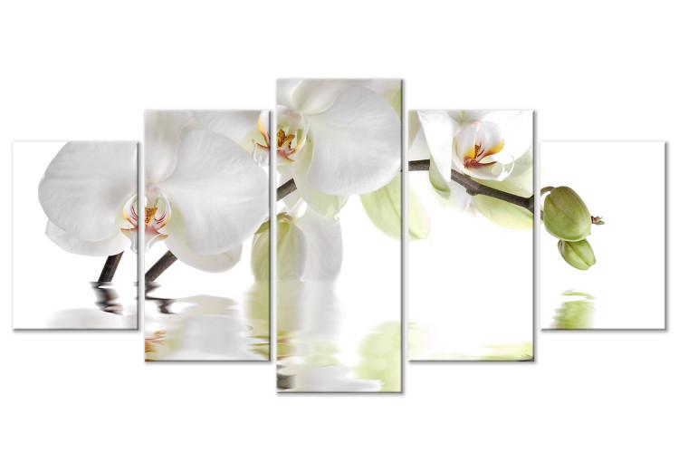 Canvas Blooming orchid - abstract theme with white flower on white background