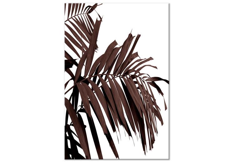 Canvas Dry palm leaves - brown leaves of a tropical tree on a white background