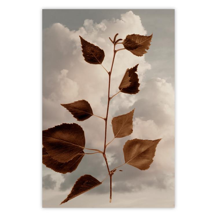 Poster September - plant with brown leaves against sky and clouds in sepia