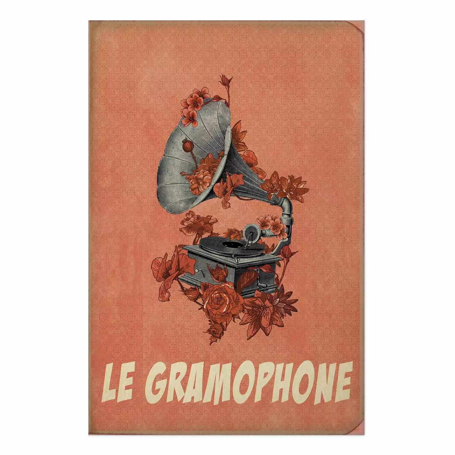 Poster Phonograph - French captions and flower-covered music player