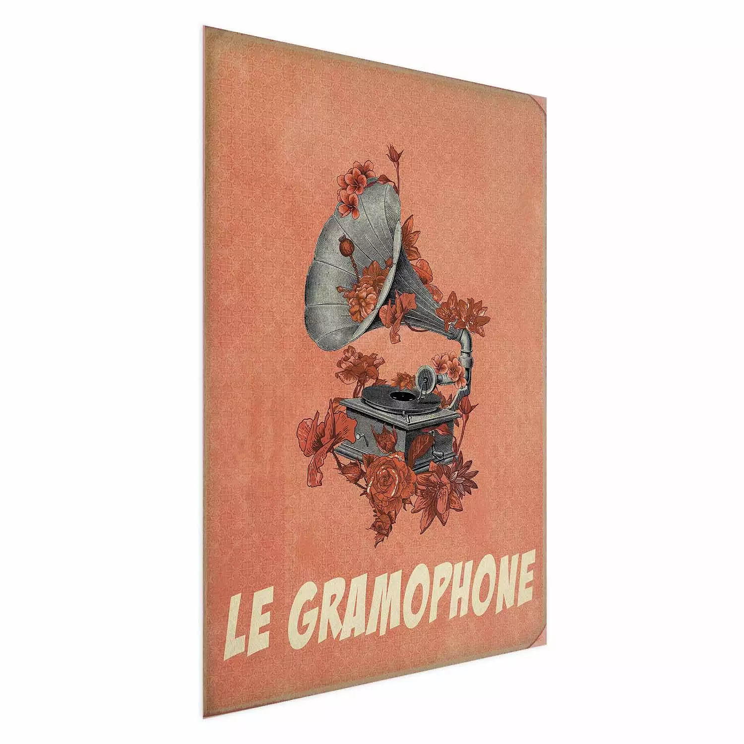 Poster Phonograph - French captions and flower-covered music player