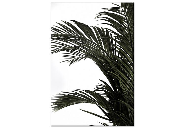 Canvas Home palm tree - minimalistic botanical motif with palm leaves