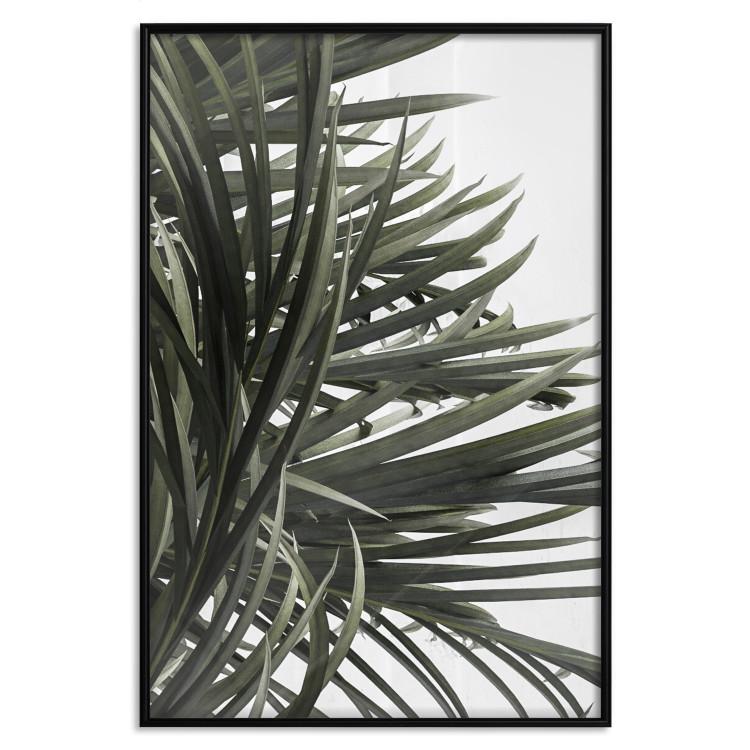 Poster In the Shade of Palm Trees [Poster]