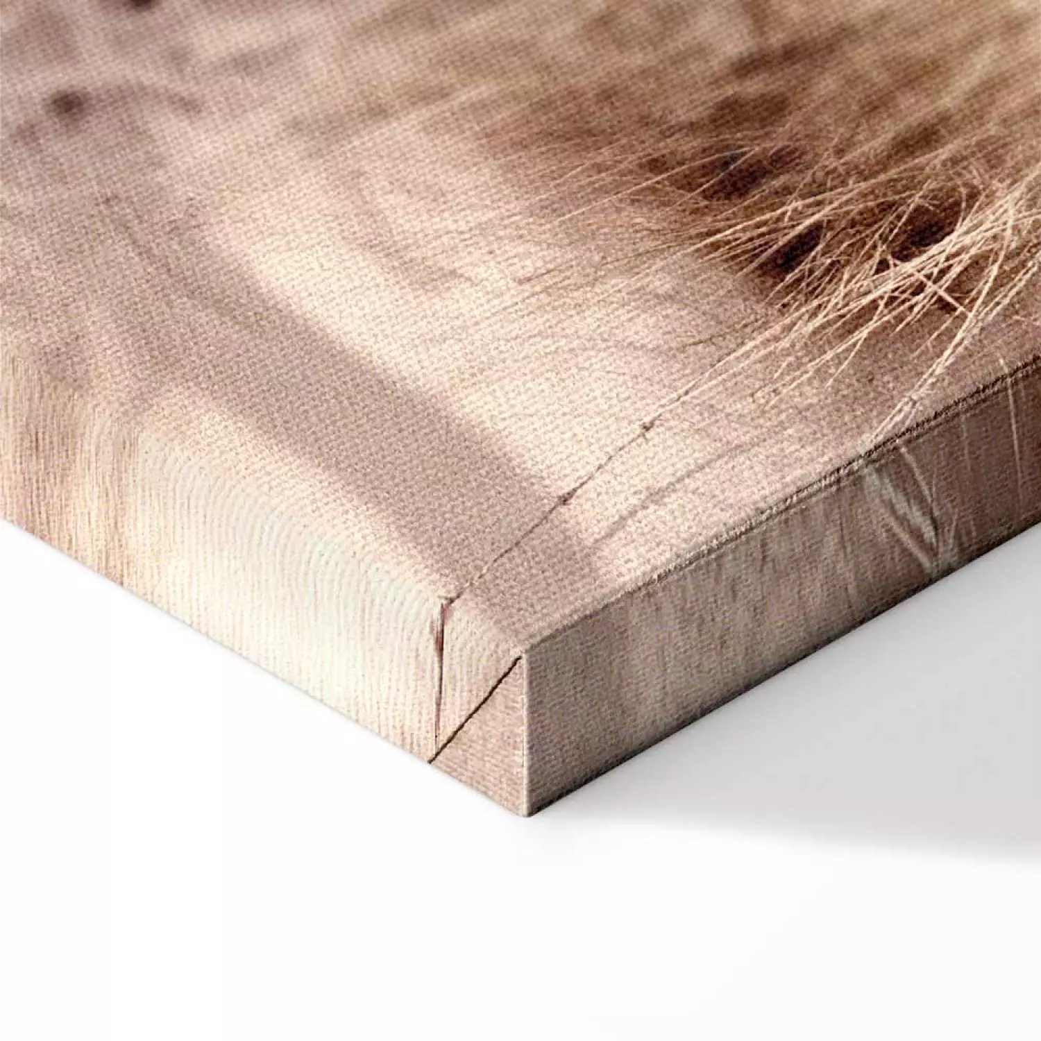 Canvas Art Print Distant Dune Vertical