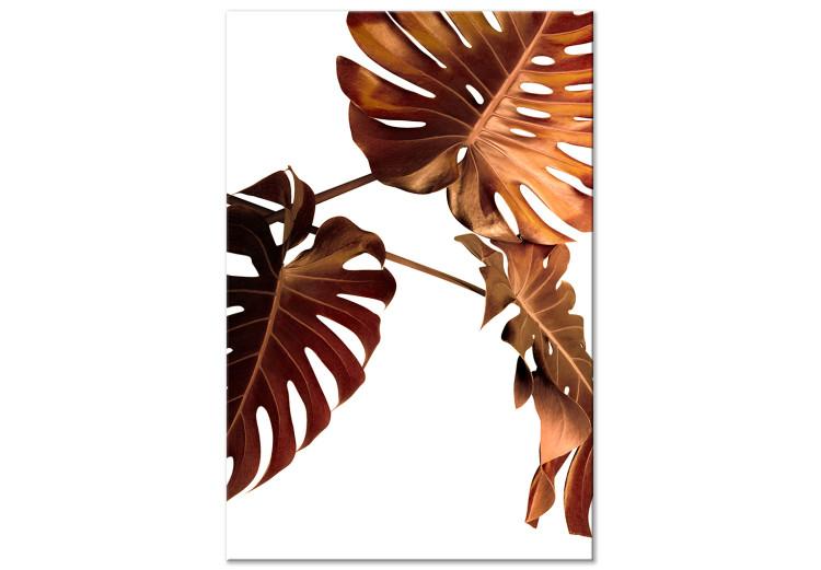 Canvas Monstery leaves - Botanical composition with three golden monstery leaves on a white background