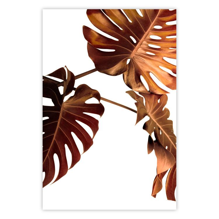 Poster Golden Garden - tropical leaves in copper hue on white background