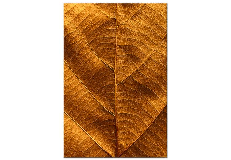 Canvas Leaf nerve - a golden colour photograph with a botanical motif
