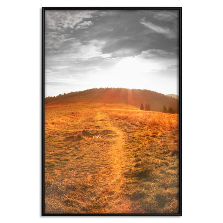 Poster Idyll - nature landscape against meadow backdrop in sunlight