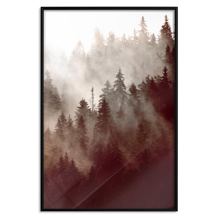 Poster Brown Forest - landscape of forest against trees in fog in sepia motif
