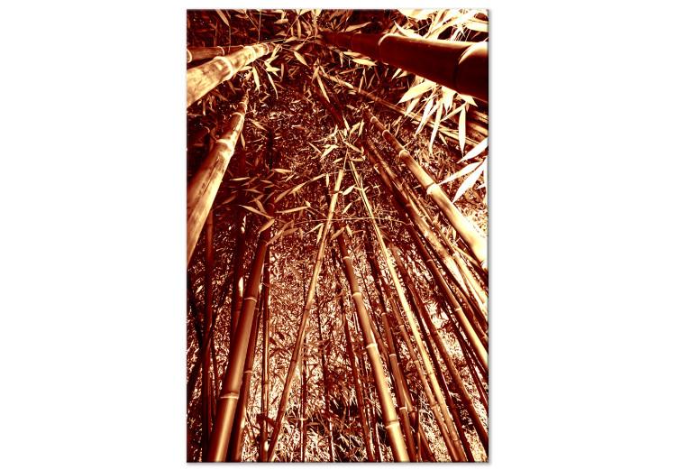 Canvas Bamboo forest in sepia - exotic nature photography with trees