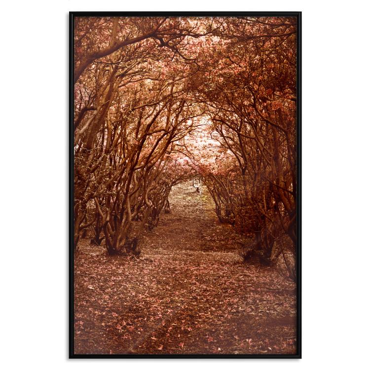 Poster Fulfilled Dreams - autumn forest landscape with falling leaves