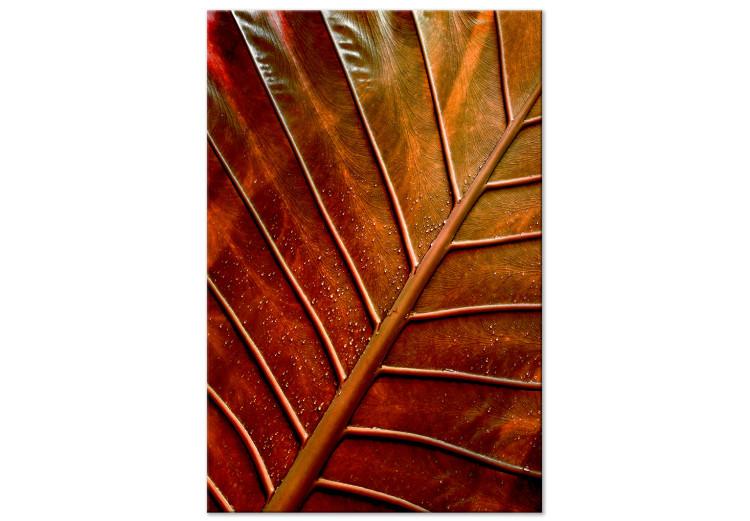 Canvas Copper leaf - a photograph of an autumn leaf in warm colours