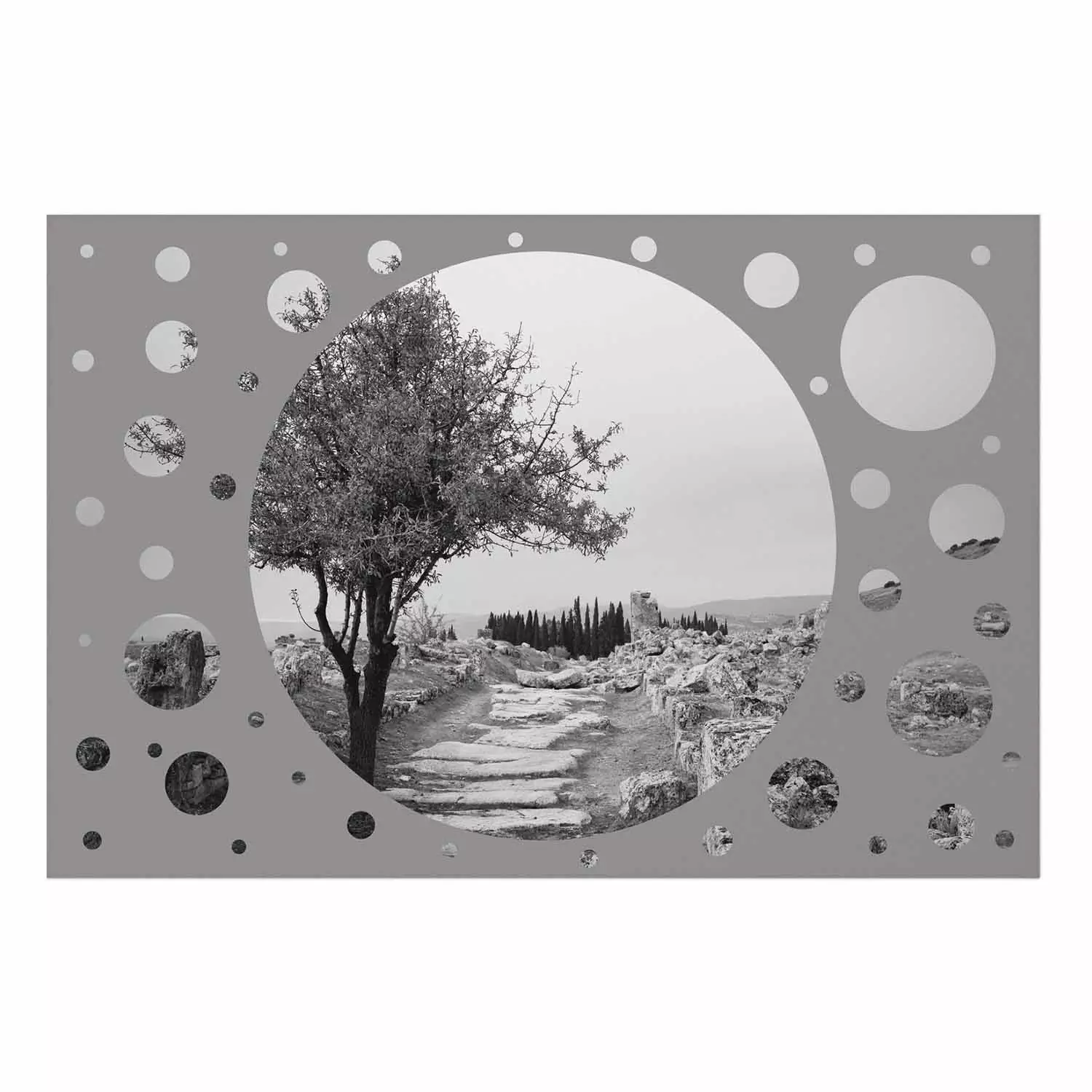 Wall Poster Hierapolis - black and white landscape of trees in circular frame