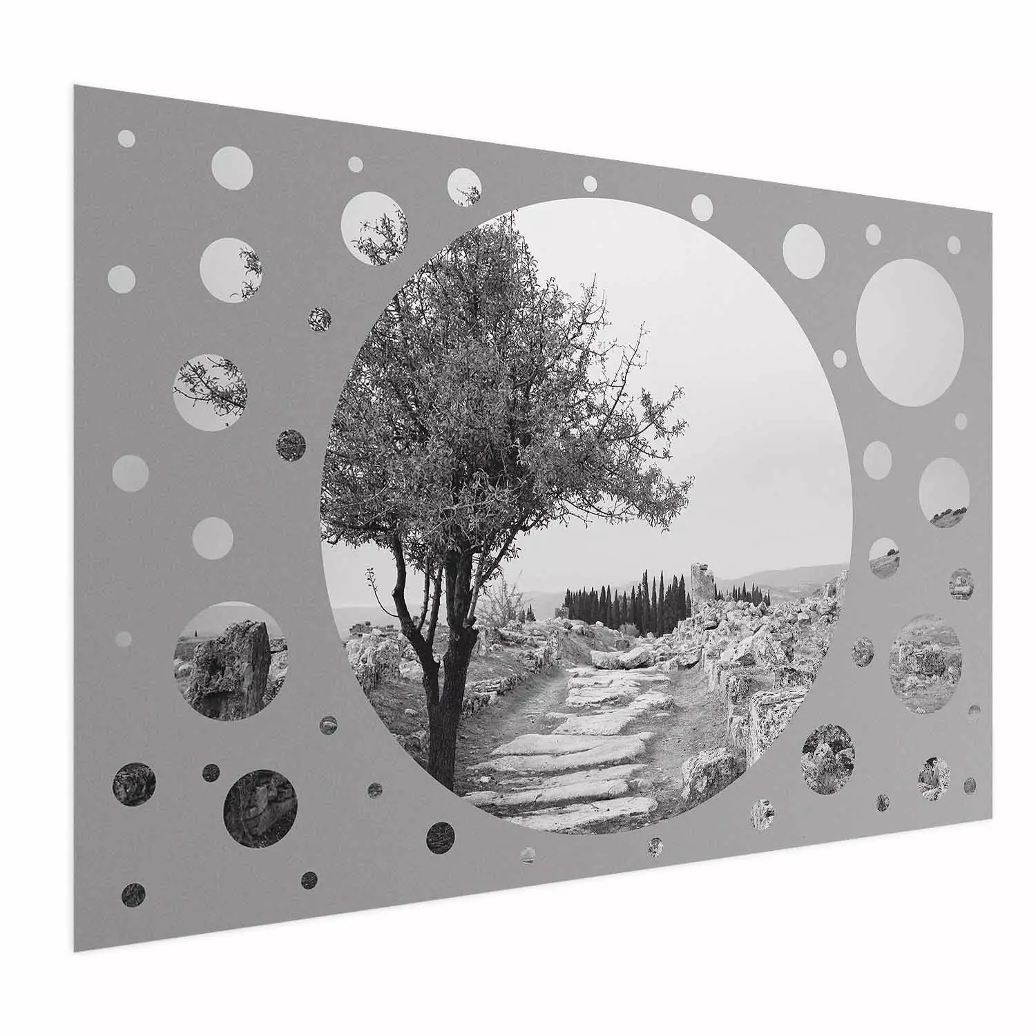 Wall Poster Hierapolis - black and white landscape of trees in circular frame