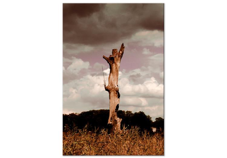 Canvas Trunk of a withered tree - photo of nature against the clouds and sky