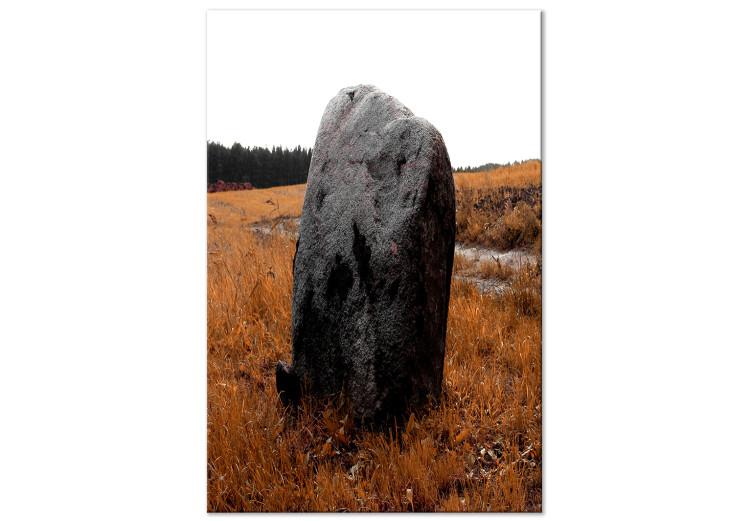 Canvas Boulder in the meadow - autumn landscape showing a stone in the field