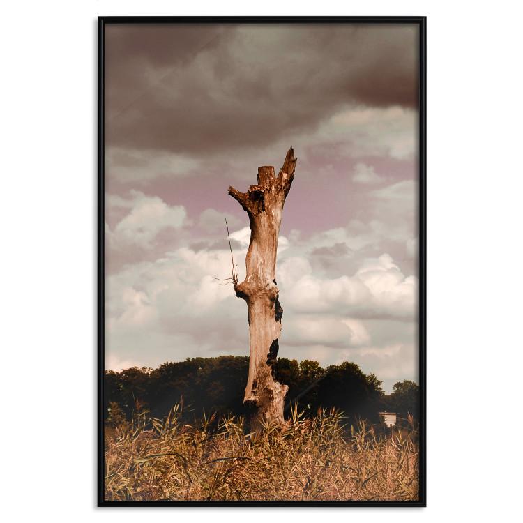 Poster Memory of the Sky - old tree trunk surrounded by meadow against sky