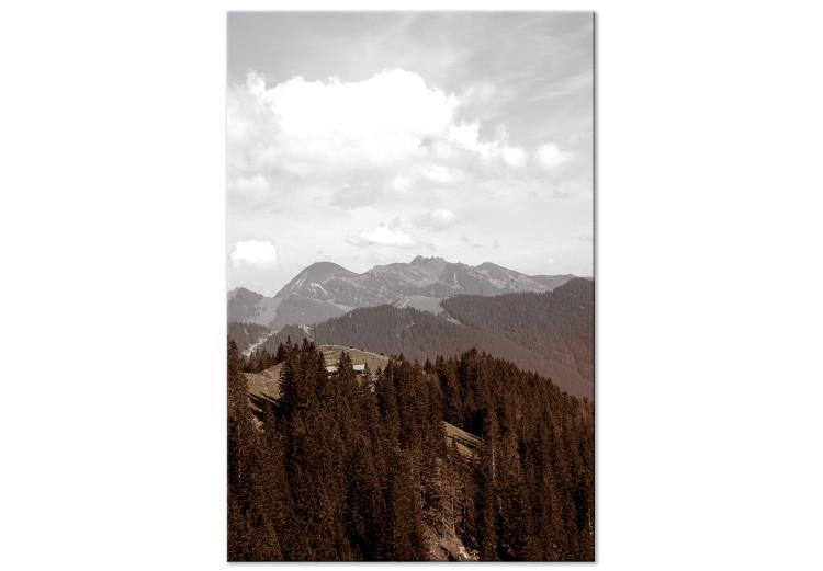 Canvas Aerial mountains - mountain landscape with forest and white clouds
