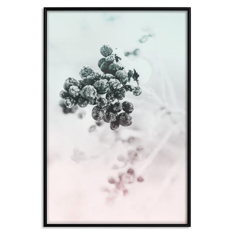 Poster Frozen Twig - plant with dark berries on pastel background